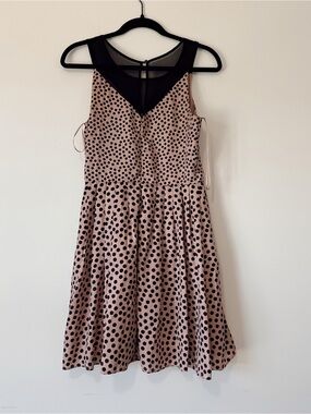 Lauren Conrad Above Knee Classic Polka Dot Swing Dress with Sheer Neckline 6